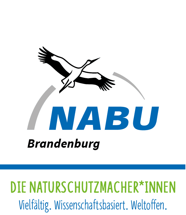 NABU Brandenburg Logo