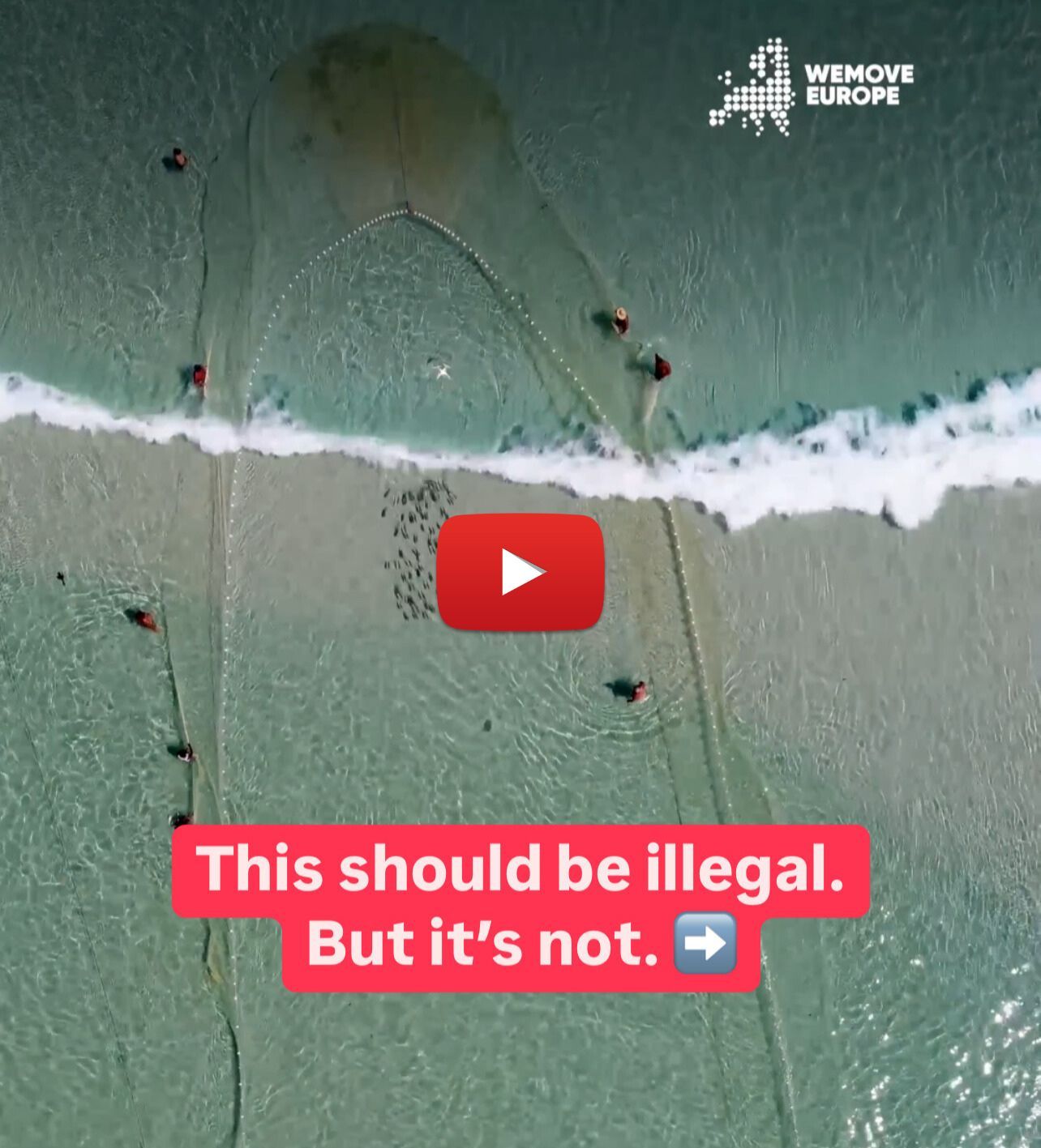 bottom trawling video thumbnail.jpg